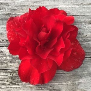 Meet your Posher, Lara